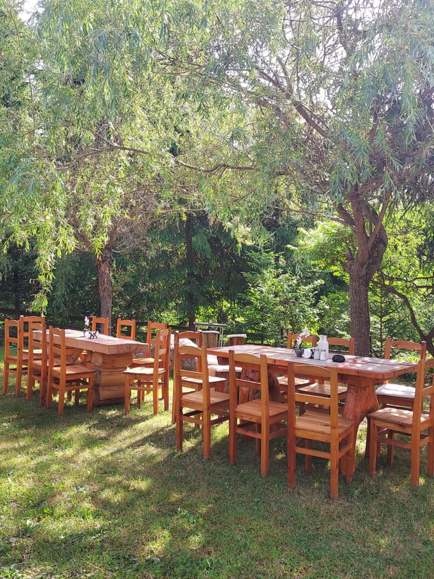 Pensiunea La Taverna Trăisteni Extérieur photo