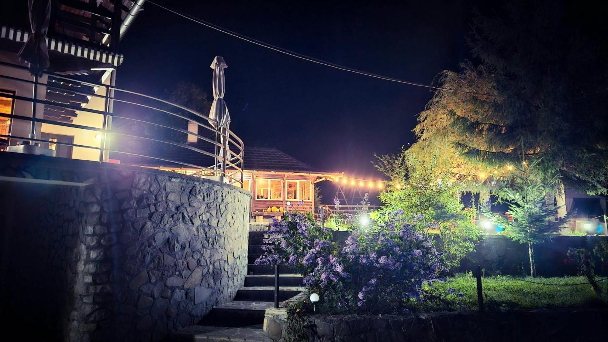 Pensiunea La Taverna Trăisteni Extérieur photo