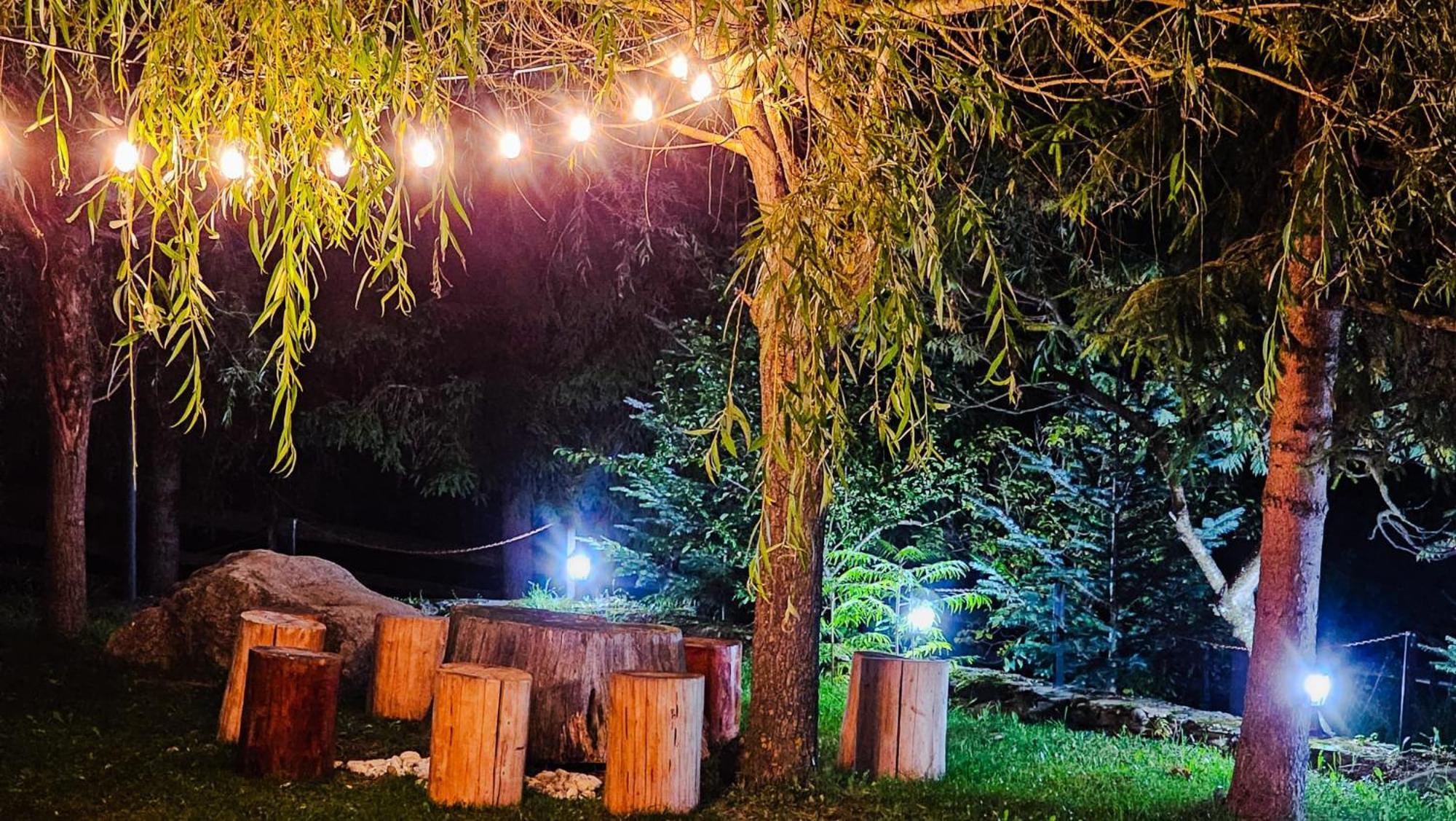 Pensiunea La Taverna Trăisteni Extérieur photo
